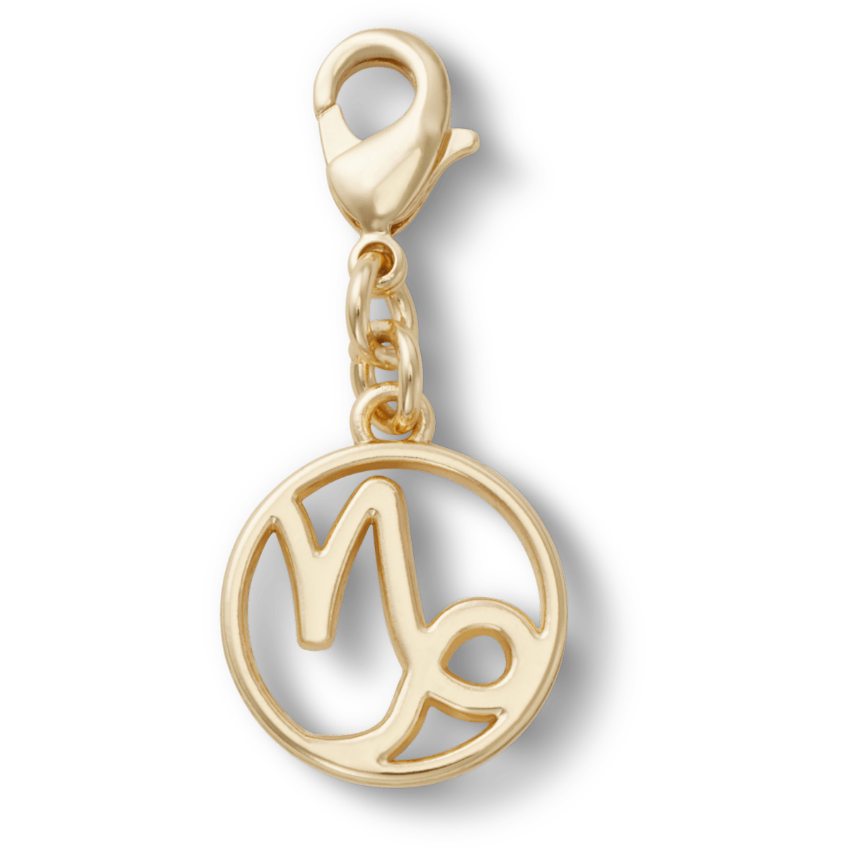 Capricorn Charm