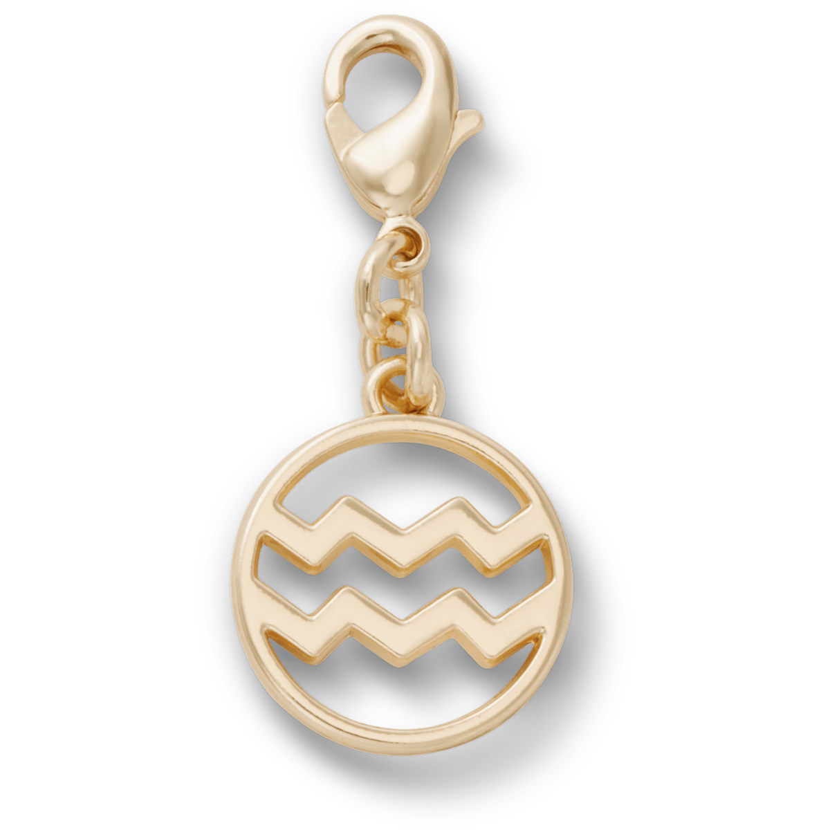 Aquarius Charm