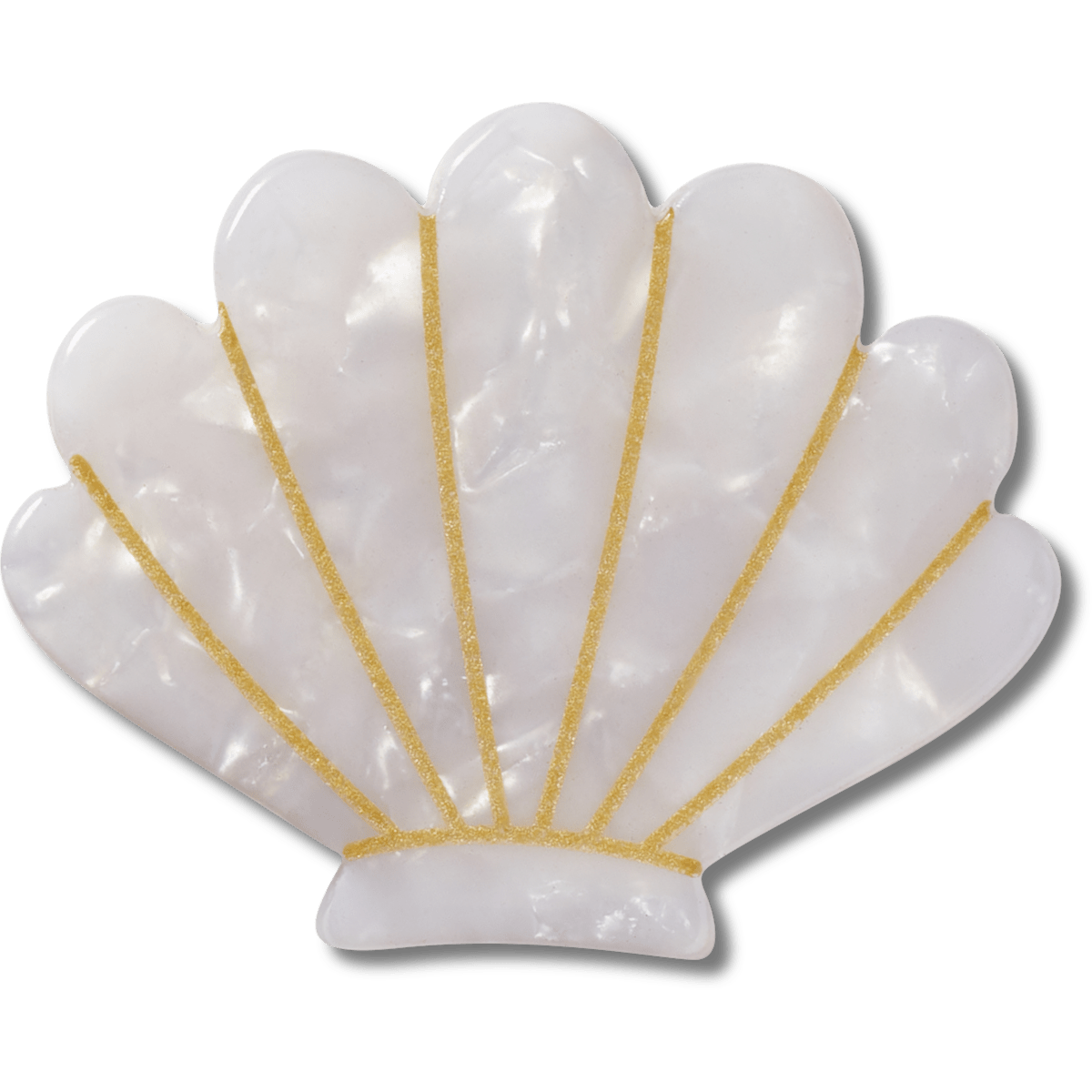 White and Gold Seashell