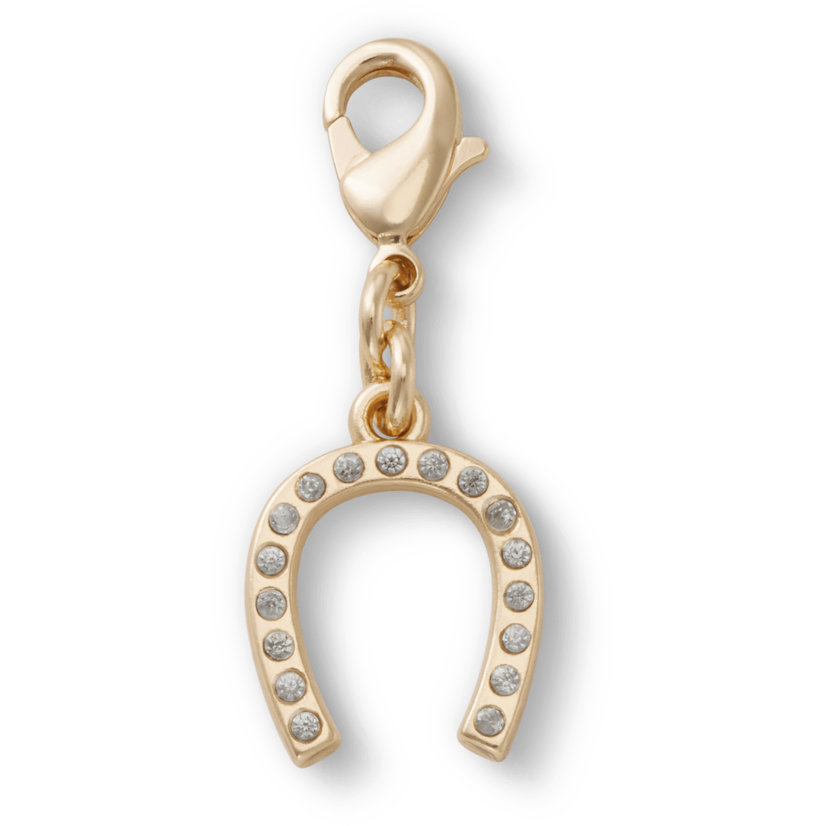 Horseshoe Charm