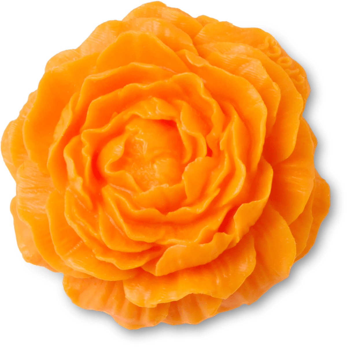 Dia De Los Muertos Marigold