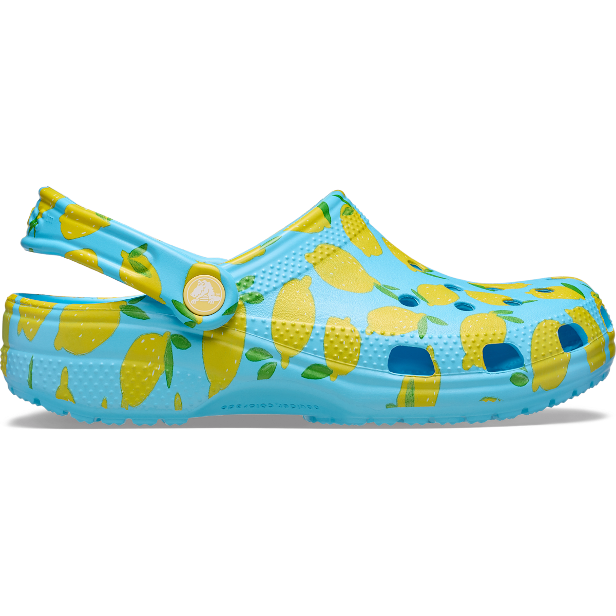 Classic Fresh Fruits Clog - Tinted Glass