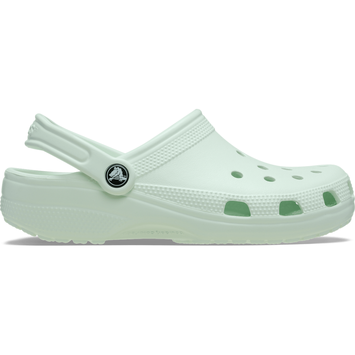 Classic Clog - Mint Tint