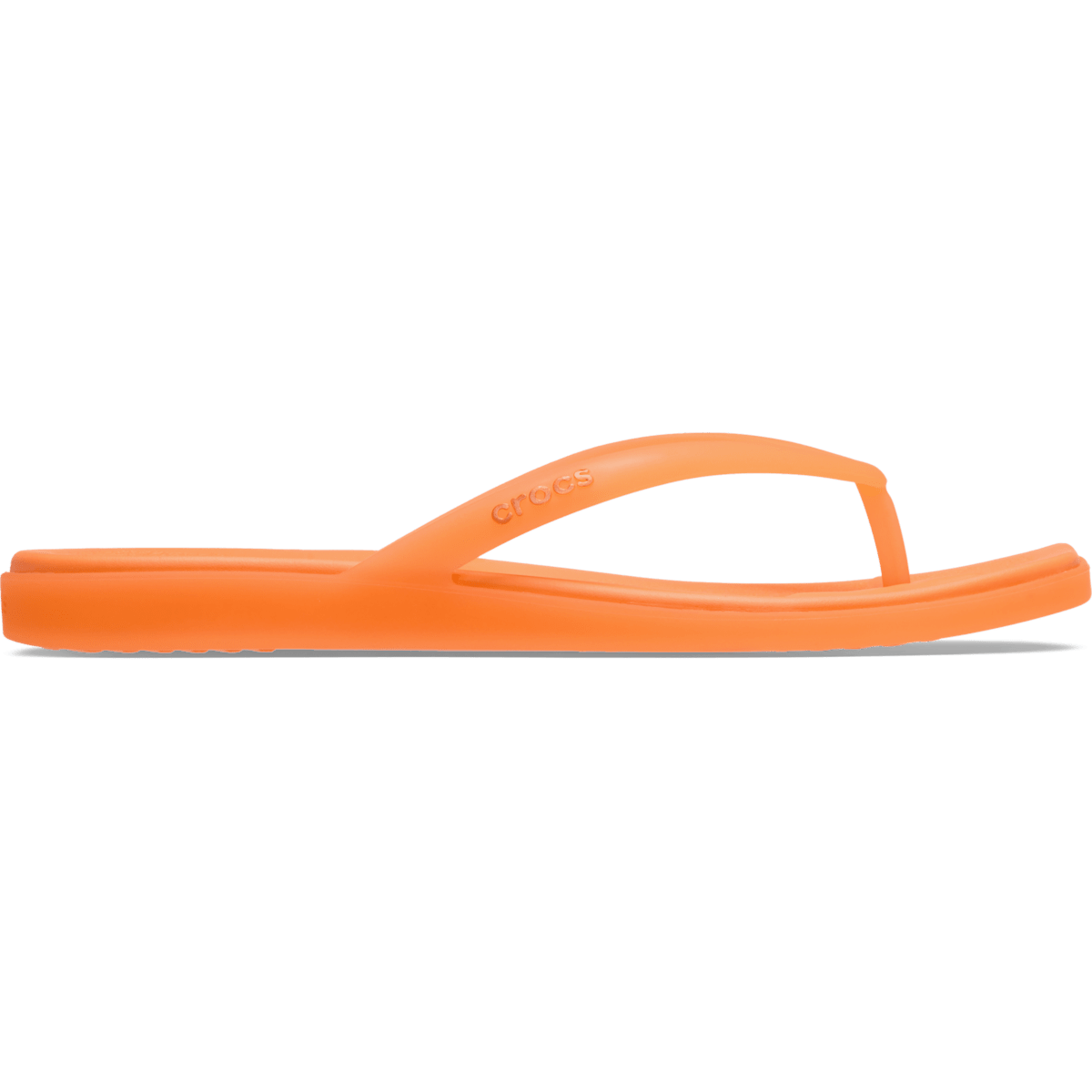 Miami Frosted Flip - Orangesicle