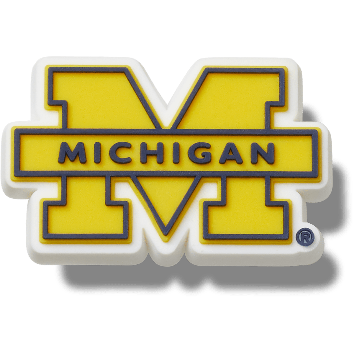 University of Michigan