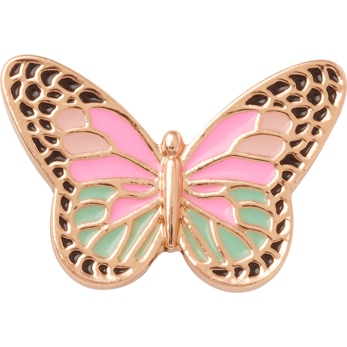 Elevated Colorful Butterfly