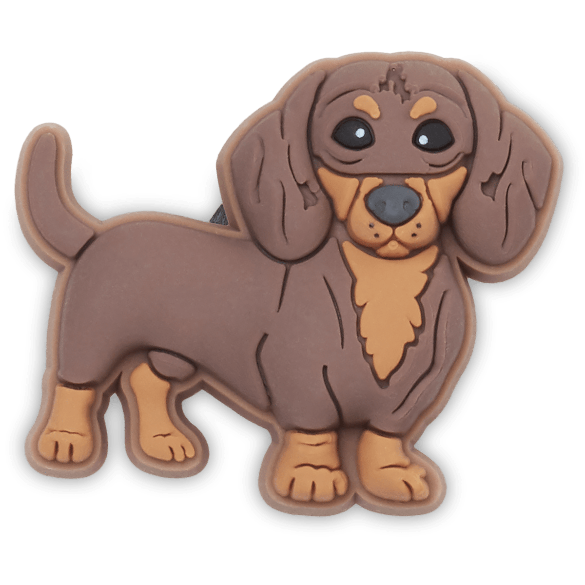 Dachshund Puppy