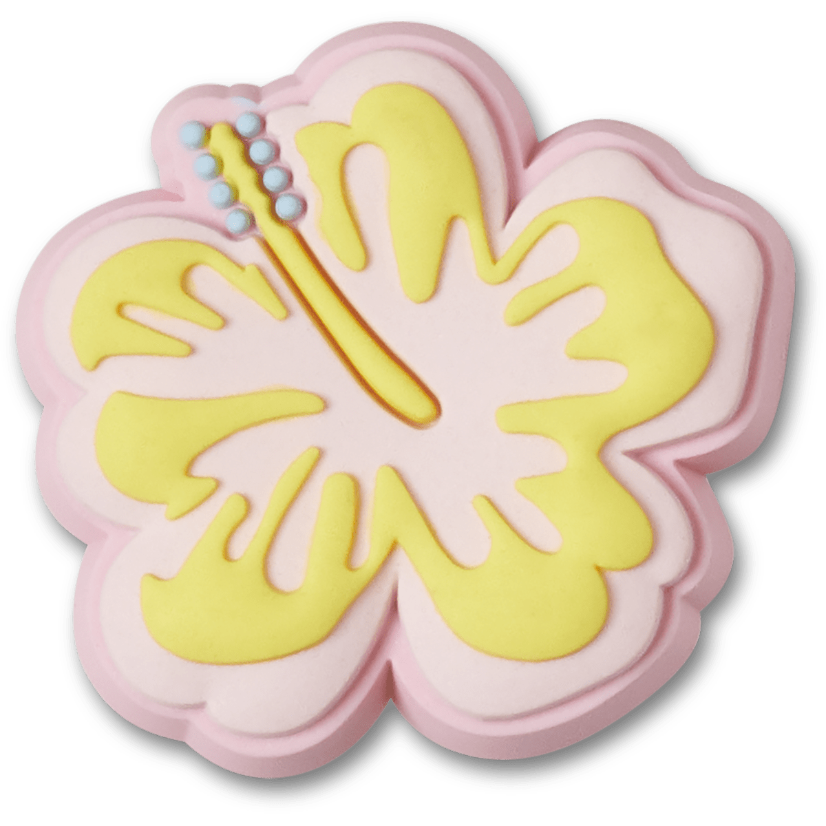 Pink And Yellow Hibiscus