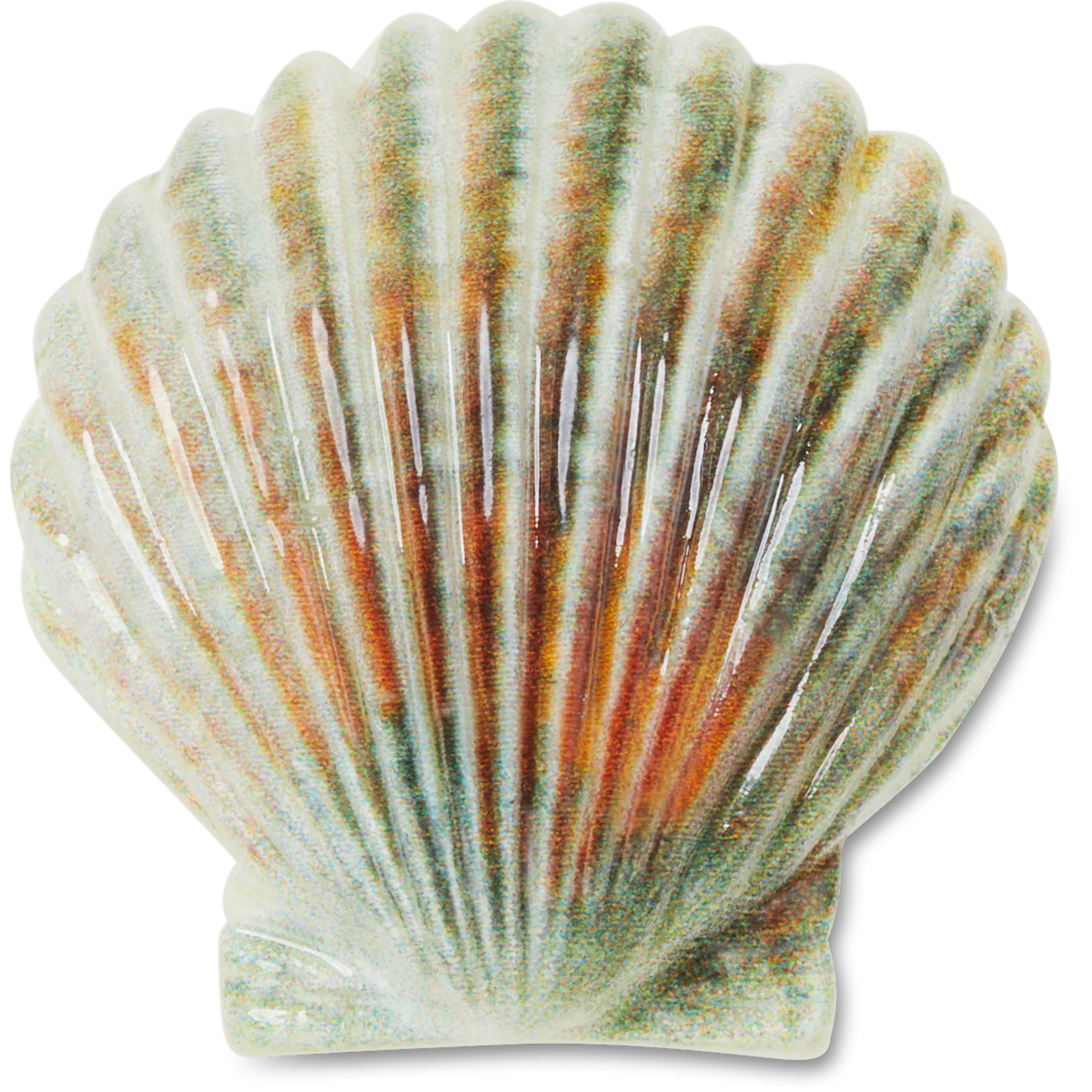 Natural Seashell