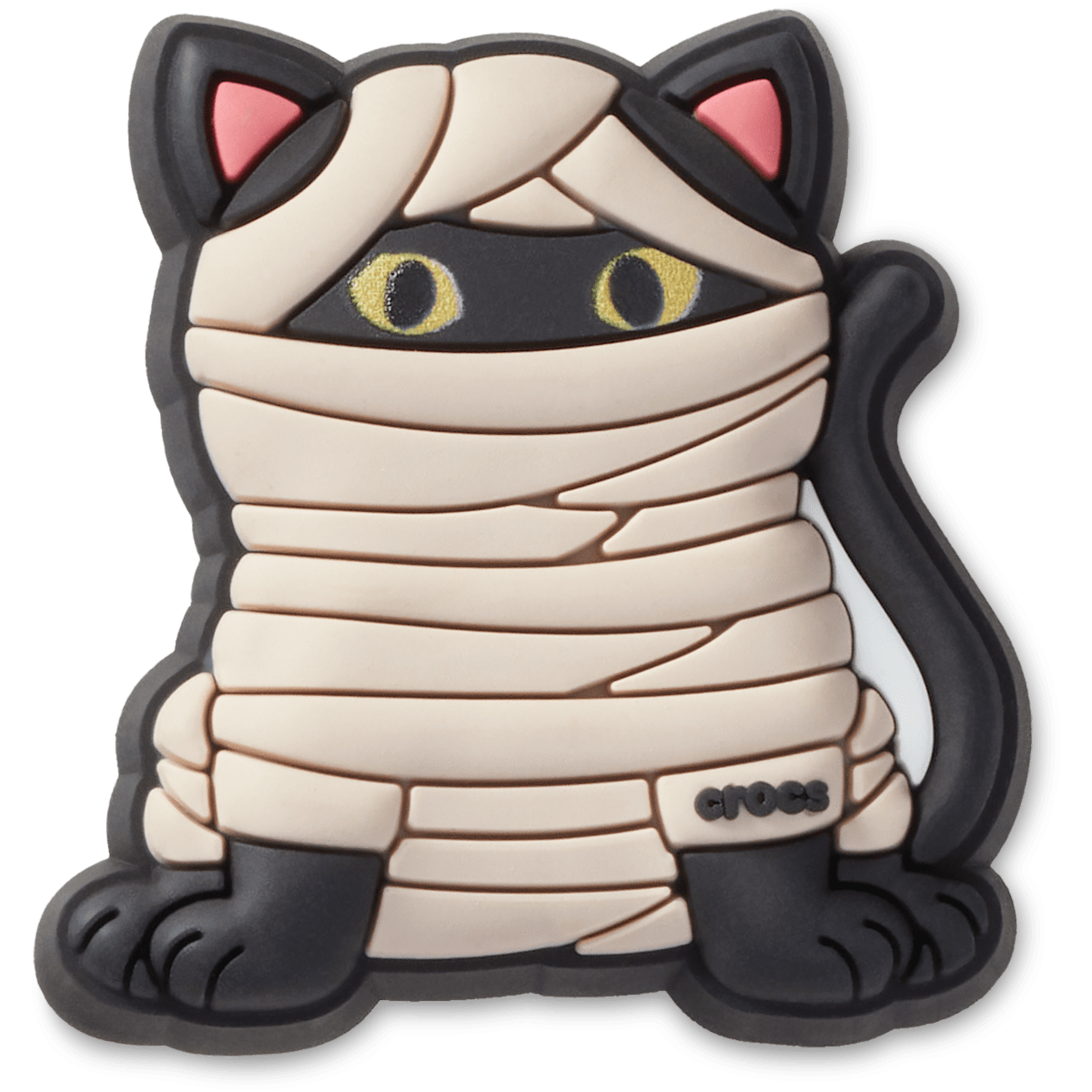 Black Cat Mummy